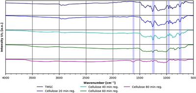 The Interaction of Cellulose Thin Films With Small Organic Molecules—Comparability of Two Inherently Different Methods